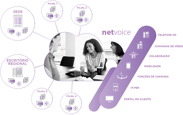Netvoice